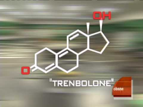 anabolic steroids and bodybuilding